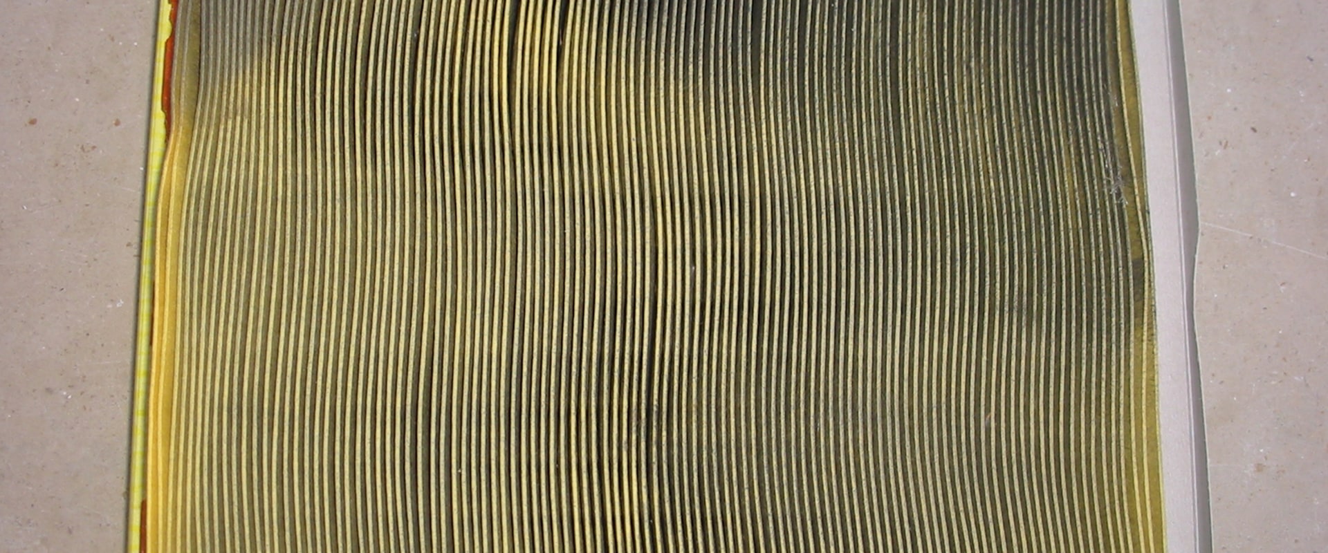 What are the Dangers of Not Replacing Your Home's Air Filter?